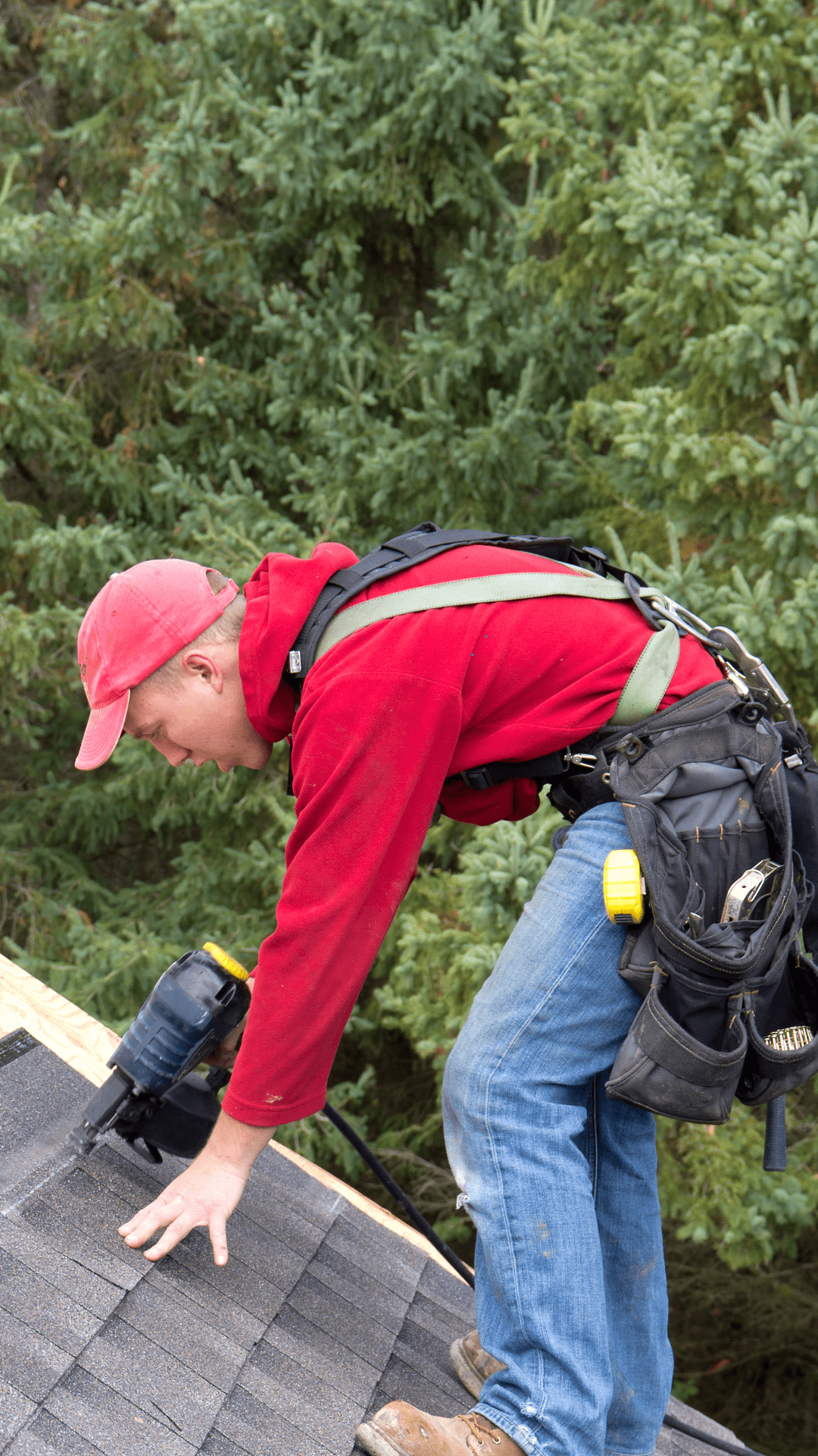 Asphalt Shingles